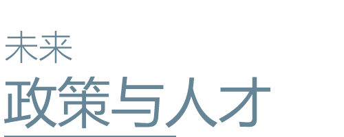 政策支持 Literature